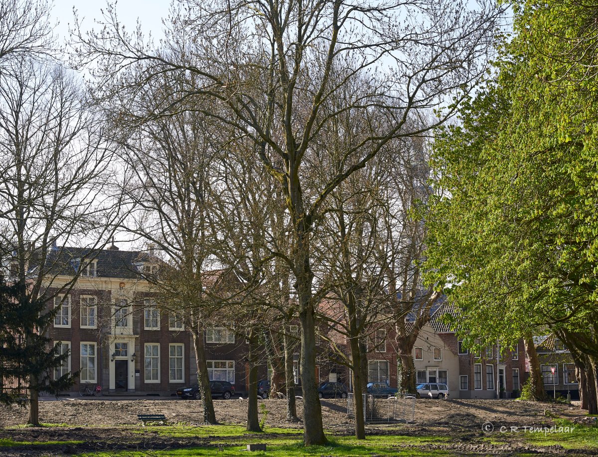 Herinrichting park Molenwater