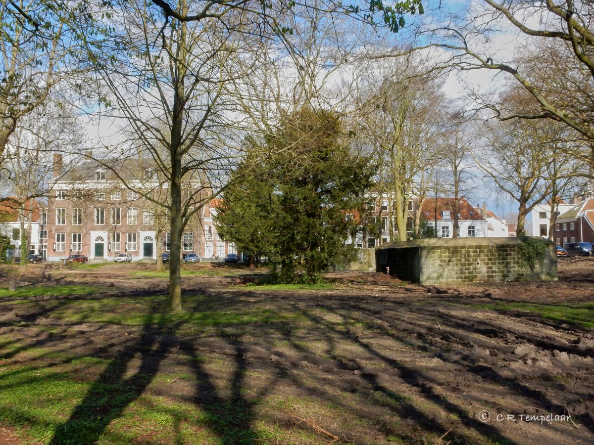 Herinrichting park Molenwater