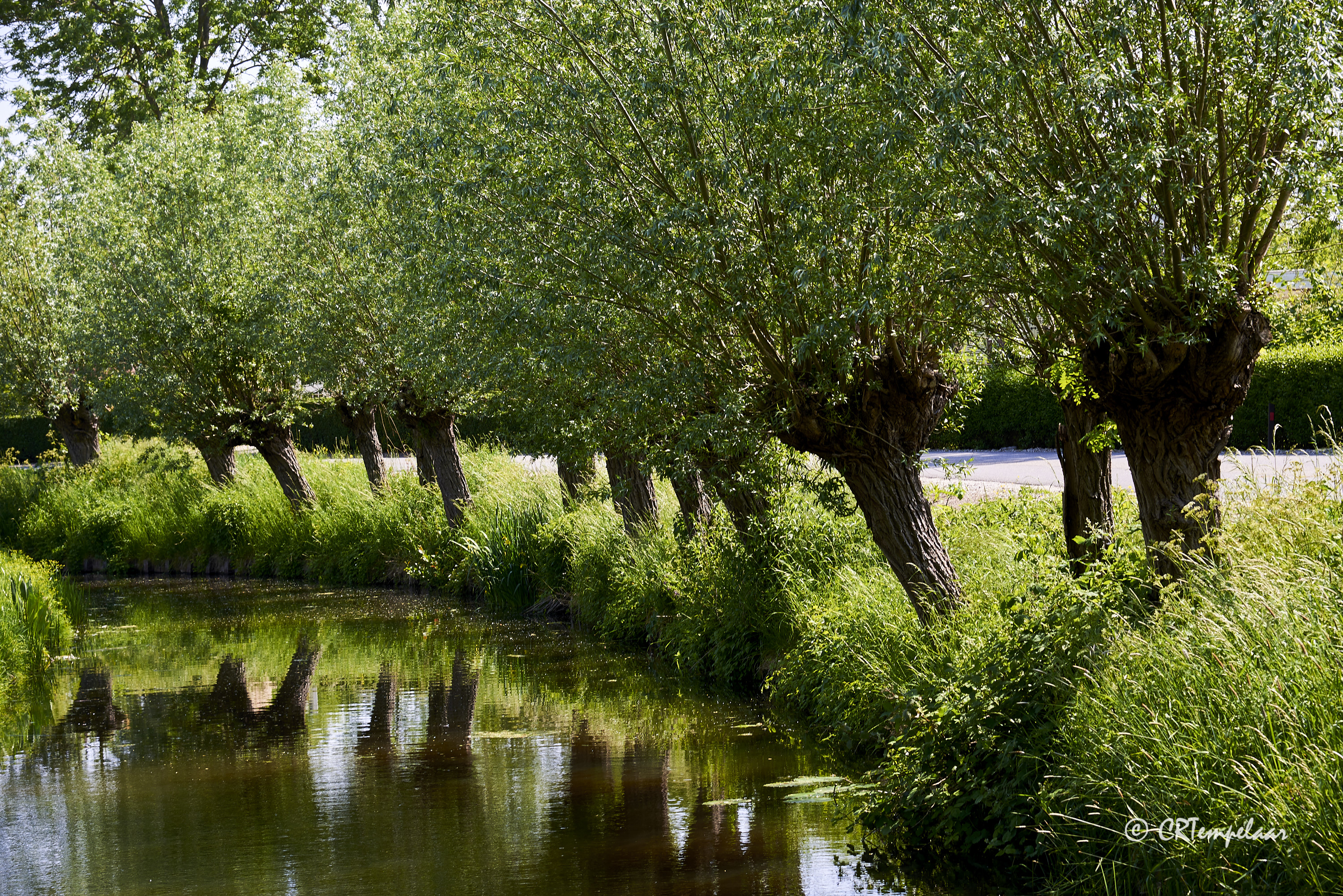 Giessenburg, Overslingeland