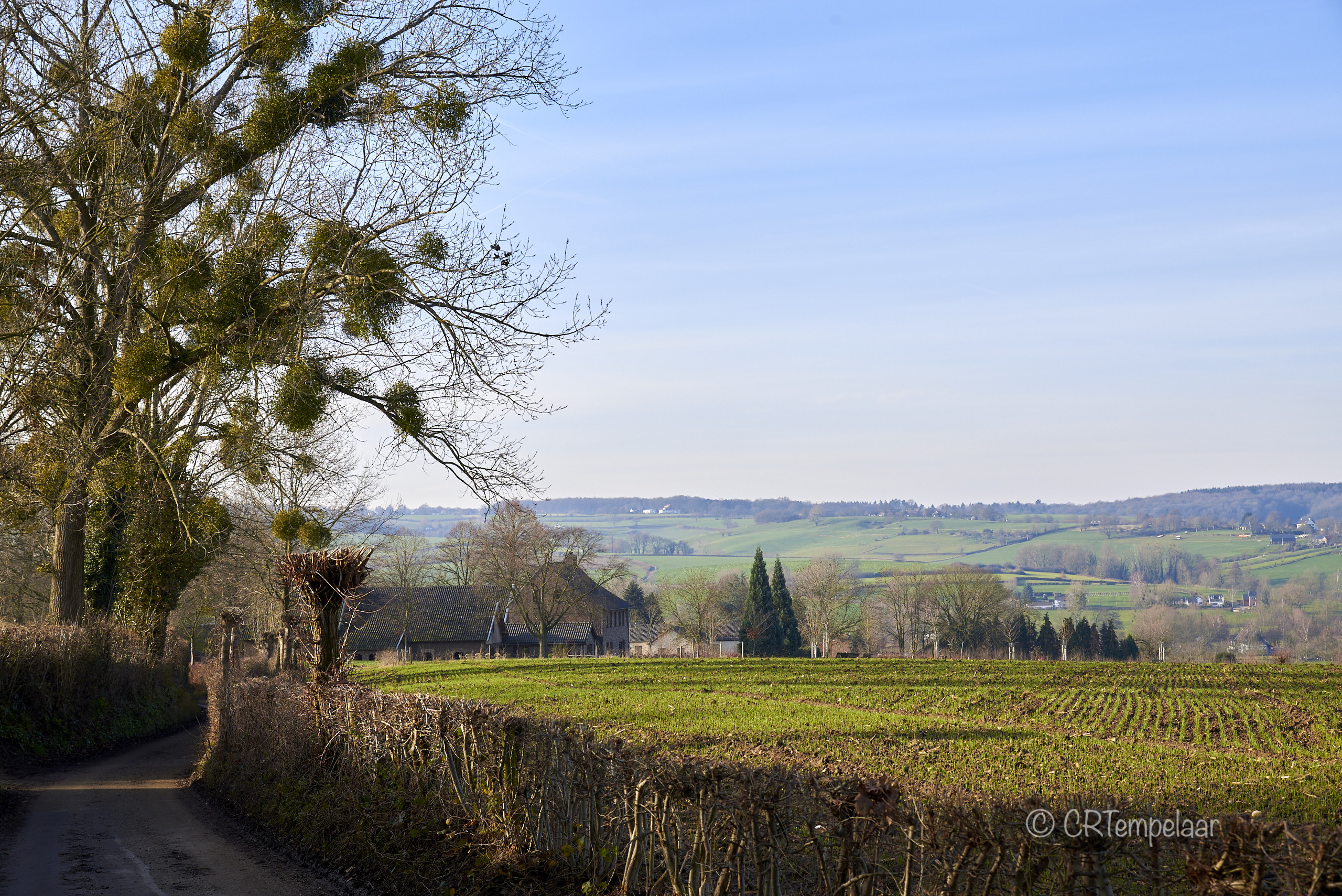 CRT_23291 - dec. 28 2019